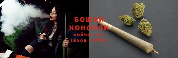 прущие крисы Армянск