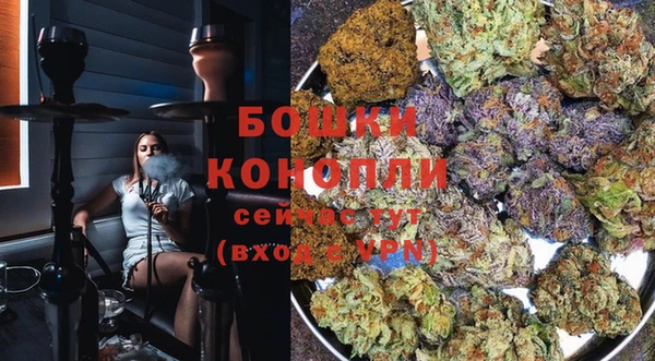 гидропоника Рославль